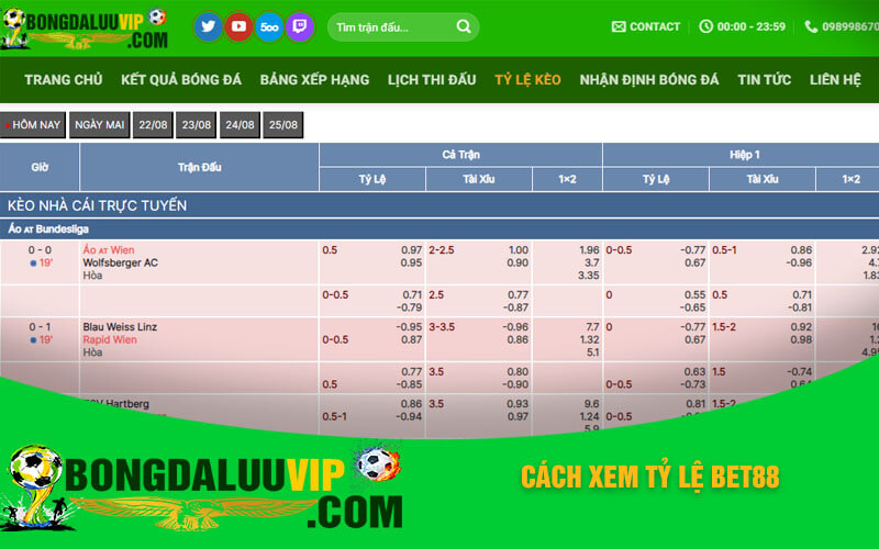 Cách xem tỷ lệ Bet88