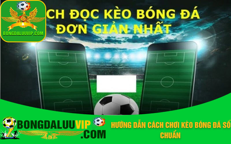 Hướng dẫn cách chơi kèo bóng đá số chuẩn