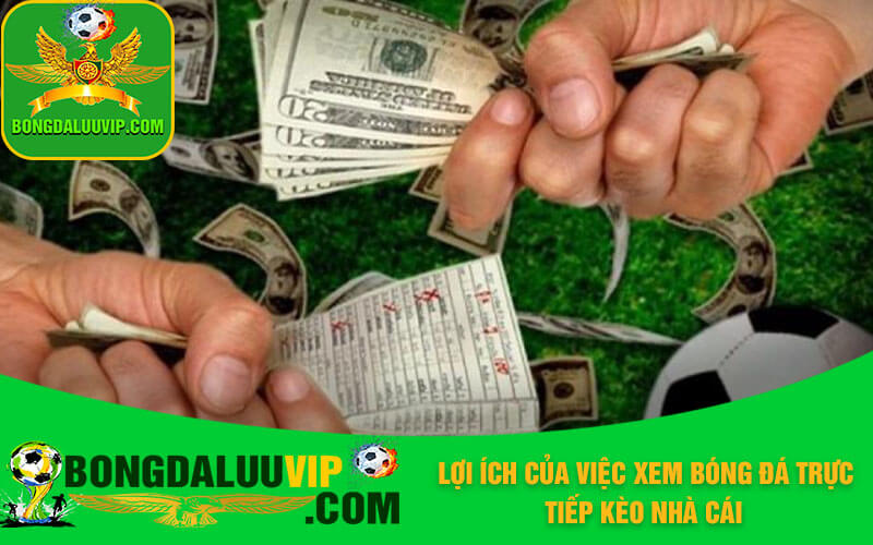 Lợi ích của việc xem bóng đá trực tiếp kèo nhà cái