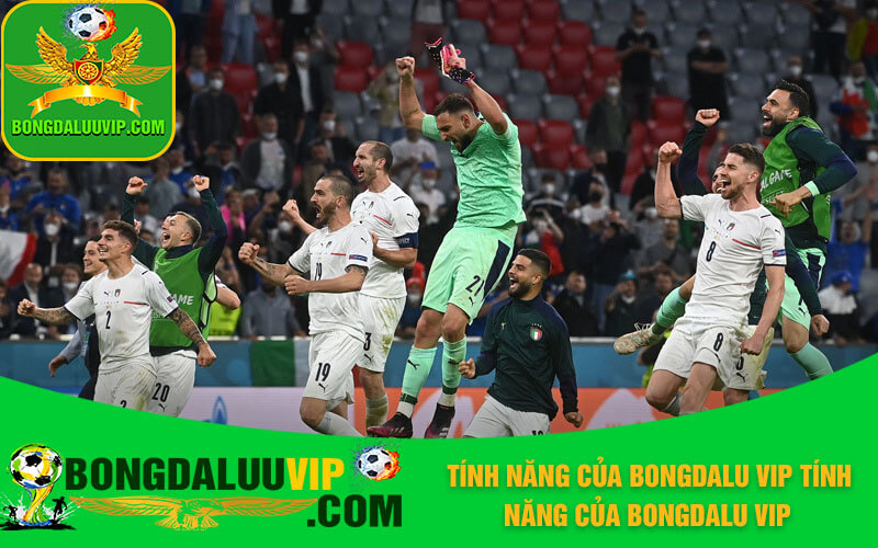 Tính năng của Bongdalu Vip