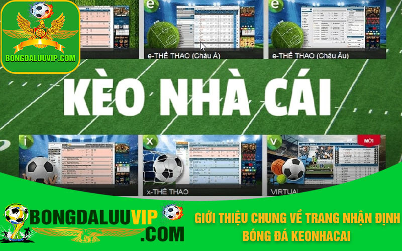Giới thiệu chung về trang nhận định bóng đá Keonhacai