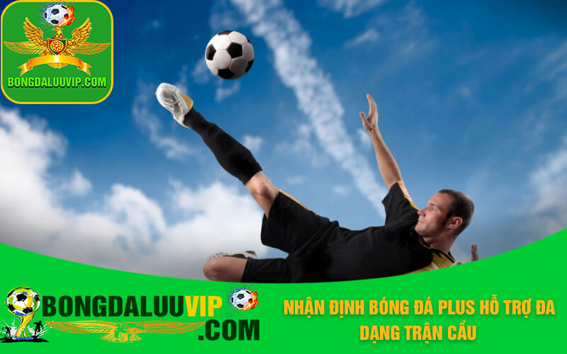 Nhận định bóng đá Plus hỗ trợ đa dạng trận cầu