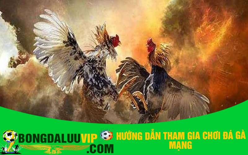 Hướng dẫn chơi đá gà mạng
