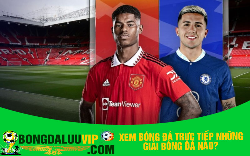 Xem bóng đá trực tiếp những giải bóng đá nào?