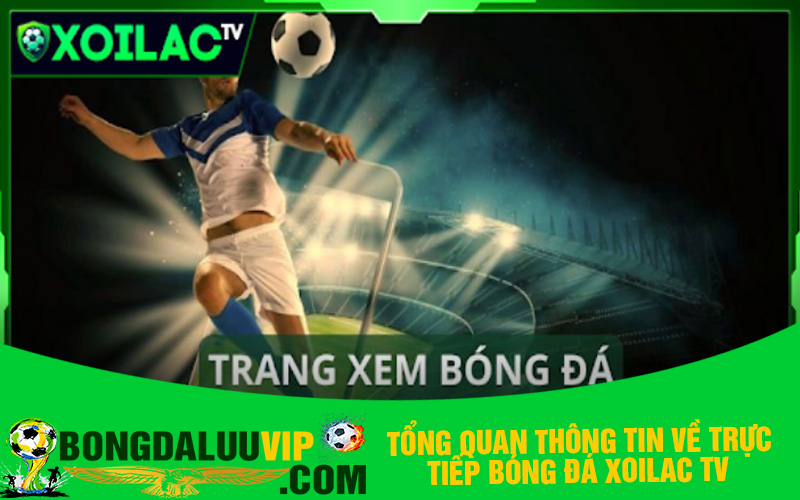 Tổng quan thông tin về trực tiếp bóng đá Xoilac TV