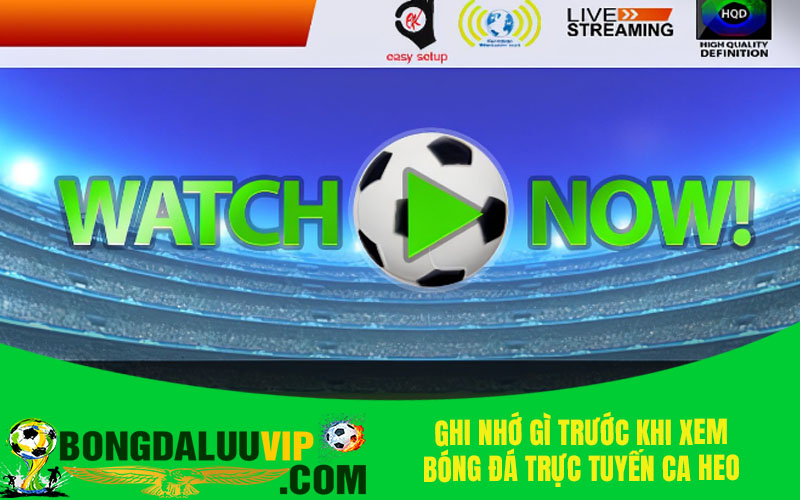 Ghi nhớ gì trước khi xem bóng đá trực tuyến Ca Heo TV?