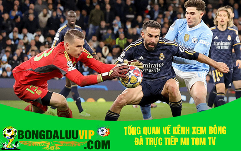 Tổng quan về kênh xem bóng đá trực tiếp Mi Tom TV