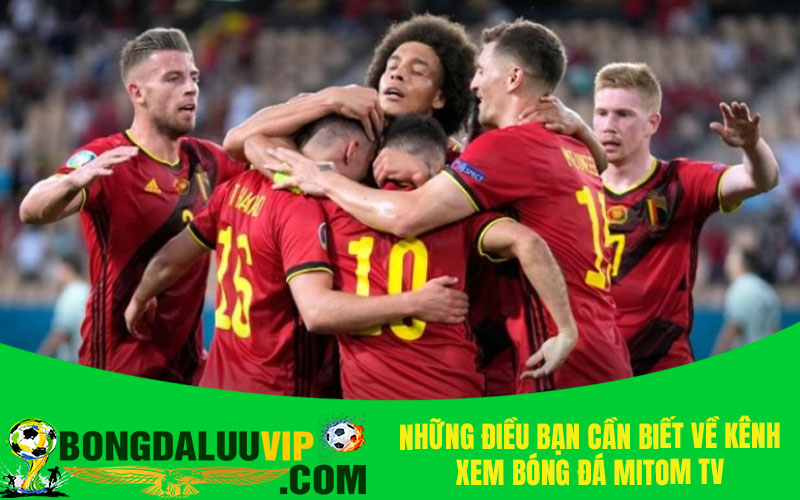 Những điều bạn cần biết về kênh xem bóng đá Mitom TV