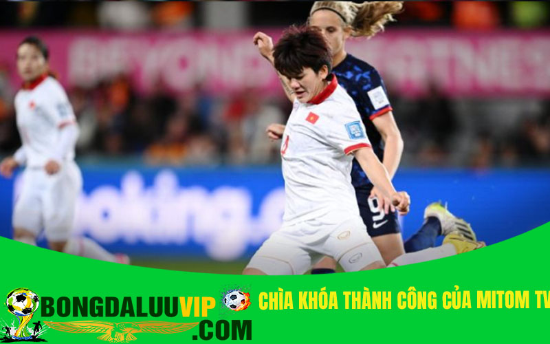Chìa khóa thành công của Mitom TV