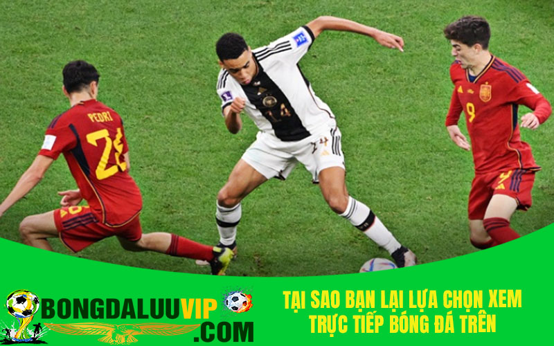 Tại sao bạn lại lựa chọn xem trực tiếp bóng đá trên Rakhoi TV?