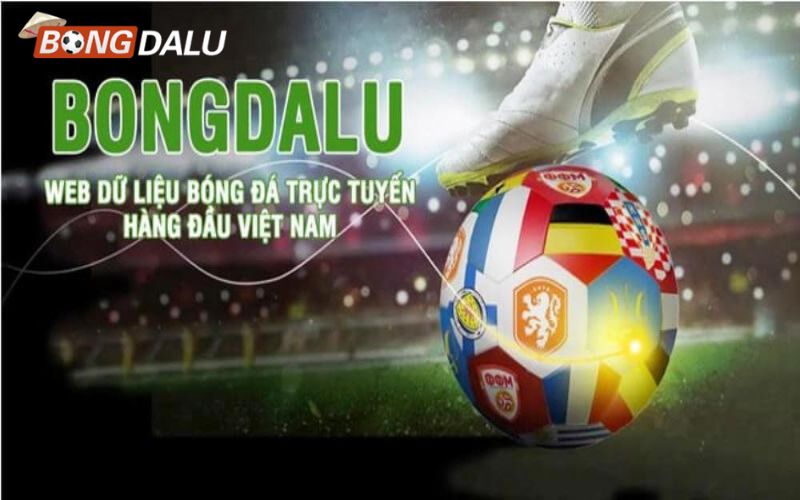 Có nên theo dõi bongdalu trực tiếp xem tỷ số bóng đá?