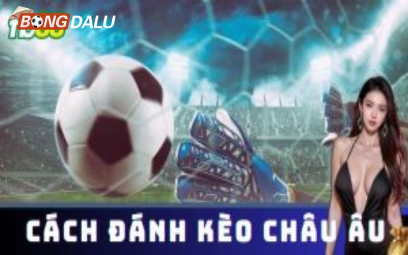 Các loại kèo cá cược thể thao FB88 hấp dẫn